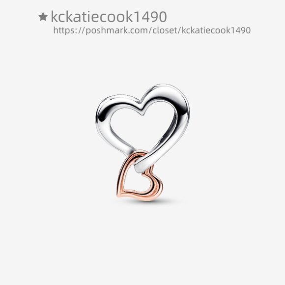 Pandora Two-tone Openwork Infinity Heart Charm - Picture 2 of 5